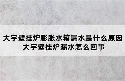 大宇壁挂炉膨胀水箱漏水是什么原因 大宇壁挂炉漏水怎么回事